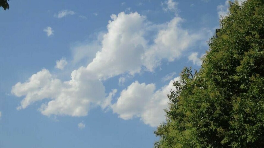 kkIxM.jpg