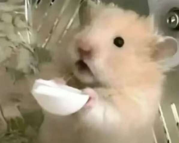 OLhmMq.jpg