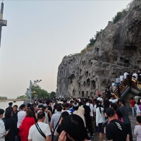 Occy9a