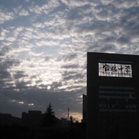 Od8OaG